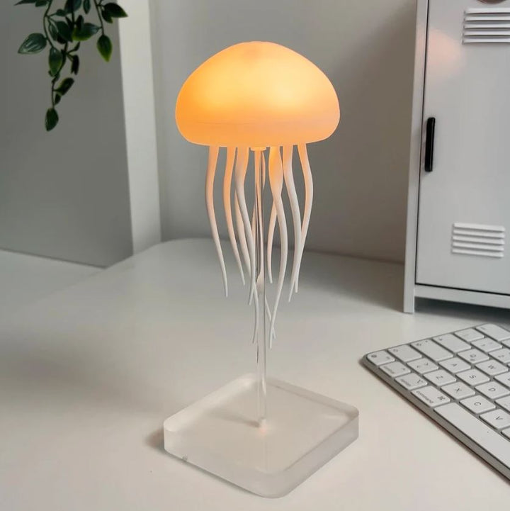 Jelly Lampe